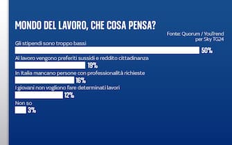 Grafiche Quorum/YouTrend per Sky TG24 sul lavoro