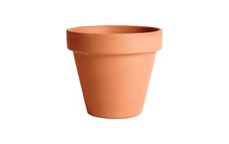 Vaso da coltura comune in terracotta