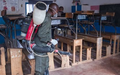 Madagascar, più di venti morti per un’epidemia di peste