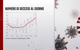 Numero dei decessi al giorno