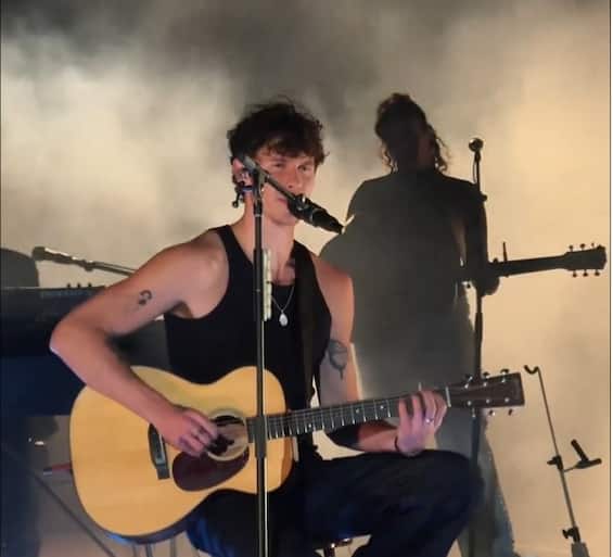 Shawn Mendes fa coming out “Sto ancora cercando di capire la mia