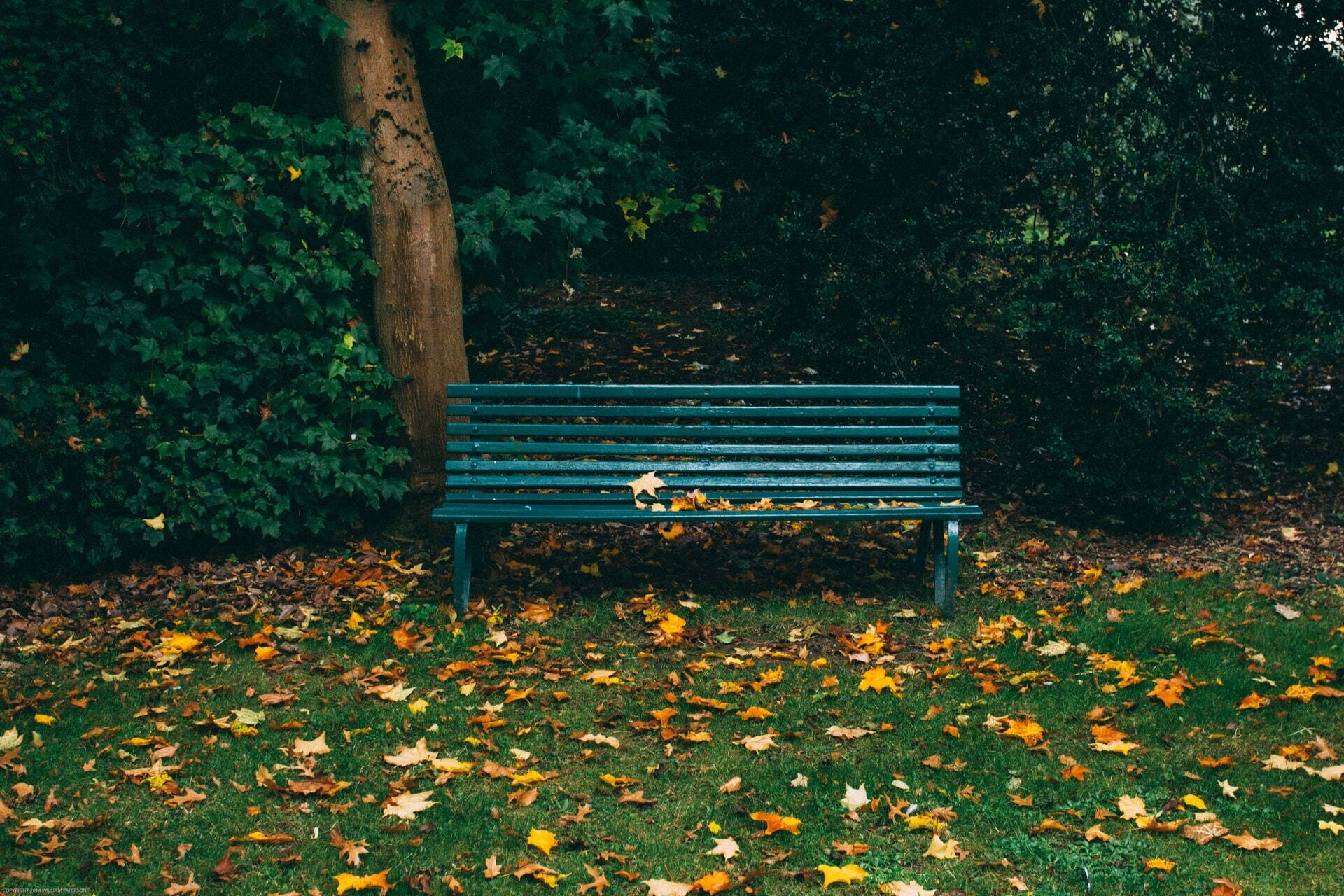 Photo_by_Will_Paterson_on_Unsplash.jpg