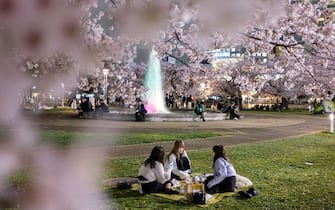 People gather for cherry blossom viewing, also known as "hanami", at Kinshi Park of Sumida district in Tokyo on March 30, 2022. (Photo by Philip FONG / AFP) (Photo by PHILIP FONG/AFP via Getty Images)