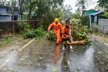 Volunteers remove fallen trees to clear a road during at Shahpori island on the outskirts of Teknaf, on May 14, 2023, after Cyclone Mocha's landfall.
 (Photo by Zabed Hasnain Chowdhury/NurPhoto via Getty Images)