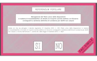 Il fac-simile della scheda per il referendum
