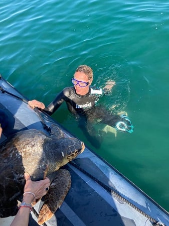 Dalla cattura accidentale da parte di un peschereccio al soccorso e alle cure mediche fino alla liberazione in mare. È la storia a lieto fine della tartaruga Libera che è tornata in mare al largo del comune di Mattinata (Foggia) in Puglia. A rimetterla nel suo ambiente è stata la nuotatrice olimpionica Federica Pellegrini. L'esemplare di Caretta caretta era stato salvato dai pescatori e curato presso il Centro di recupero e soccorso gestito da Legambiente. La Divina, in occasione della Giornata mondiale degli oceani, ha deciso di sposare la causa della campagna 'Tartalove' di Legambiente, adottando una delle tartarughe ospiti nel Centro di recupero tartarughe marine (Crtm) di Manfredonia (Foggia). Dopo la visita al Centro per conoscere la "sua" tartaruga, Federica, a bordo di un gommone e accompagnata dagli operatori del Crtm e del Centro Velico locale, si è allontanata dal porto per raggiungere una zona tranquilla dove liberare la tartaruga.
ANSA/ US/ LEGAMBIENTE
+++ ANSA PROVIDES ACCESS TO THIS HANDOUT PHOTO TO BE USED SOLELY TO ILLUSTRATE NEWS REPORTING OR COMMENTARY ON THE FACTS OR EVENTS DEPICTED IN THIS IMAGE; NO ARCHIVING; NO LICENSING +++ NPK +++