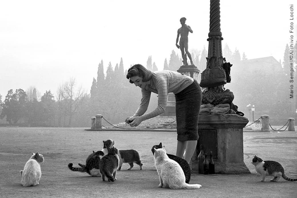 Sylva Koscina in giro per Firenze, al Piazzale Michelangelo. Martedì 11 dicembre 1956 / Mario Semprini 1956_38406 - Foto Locchi/©Archivio Foto Locchi