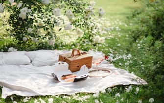 Romantic picnic lunch outdoor in blossoming park on summer day with eclairs and glasses of rose wine. Pic nic on green grass with blooming white roses background. Beautiful summer celebration picnic in the garden with tasty food, cold drinks. Leisure and fun.