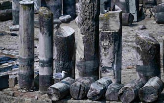 Il tempio di Serapide a Pozzuoli in alcuni anni , a causa del bradisismo, sceso sotto il livello del mare e ora completamente riemerso,  27 settembre 2023. ANSA/CIRO FUSCO