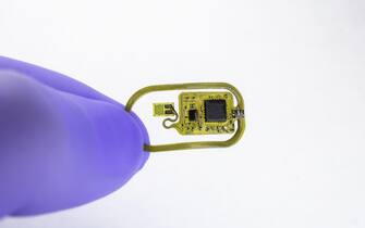 dettaglio microchip