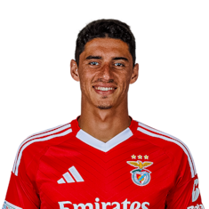 Tiago Maria Antunes Gouveia