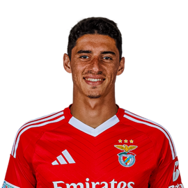 Tiago Maria Antunes Gouveia