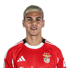 Enzo Barrenechea