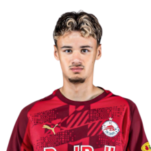 Kerim-Sam Alajbegovic