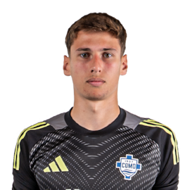 Henrique Menke