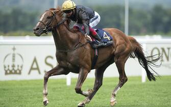 1220895968 ASCOT, ENGLAND - JUNE 18: Stradivarius ridden by Frankie Dettori crosses the line to win his third Gold Cup during Day 3 of Royal Ascot at Ascot Racecourse on June 18, 2020 in Ascot, England. (Photo by Edward Whitaker/Pool via Getty Images)