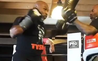 Tyson, una macchina da pugni in allenamento. VIDEO