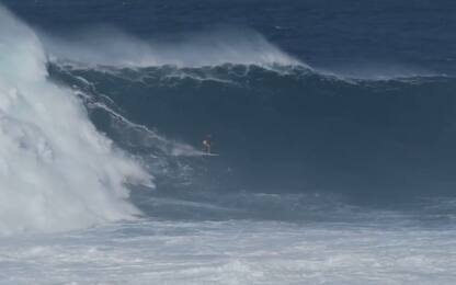 Porcella doma un'onda gigante alle Hawaii. VIDEO