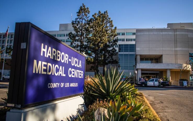 l'Harbor-UCLA medical center