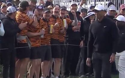 Le "tigri" esultano, Tiger Woods se la ride. VIDEO
