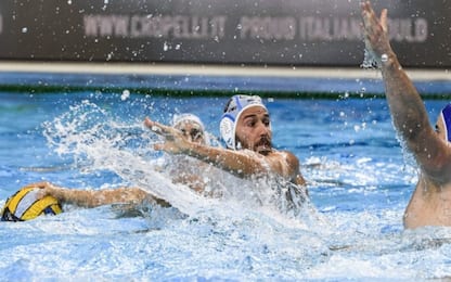 Champions Pallanuoto, risultati mercoledì: vittorie per Brescia e Pro Recco l Sky Sport