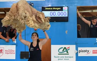 Jessica Morgan from Wales participates in the sorting of the wool during the 18th edition of the World Sheep Shearing and Wool handling championships in Le Dorat, central-western France, on July 4, 2019. - From July 4 to 7, 2019 the competition takes place for the first time in France. More than 5,000 sheep will be shorn for four days during numerous competitions. (Photo by MEHDI FEDOUACH / AFP)        (Photo credit should read MEHDI FEDOUACH/AFP via Getty Images)