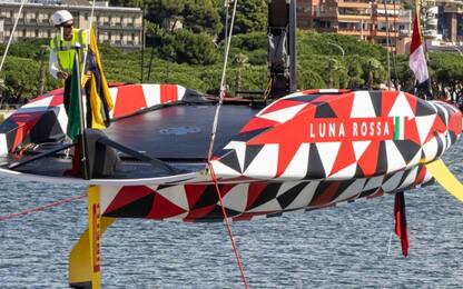 Luna Rossa, piccolo incidente: albero danneggiato
