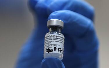 Vaccini, oggi un milione di dosi Pfizer a Regioni