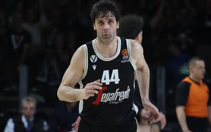 La Virtus cade ancora: vince il Partizan 88-79