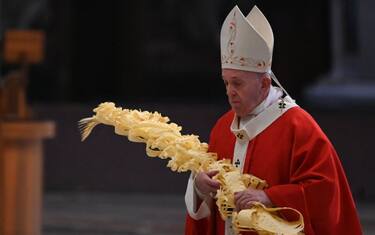 papa francesco