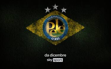 PELE_WEB definitivo