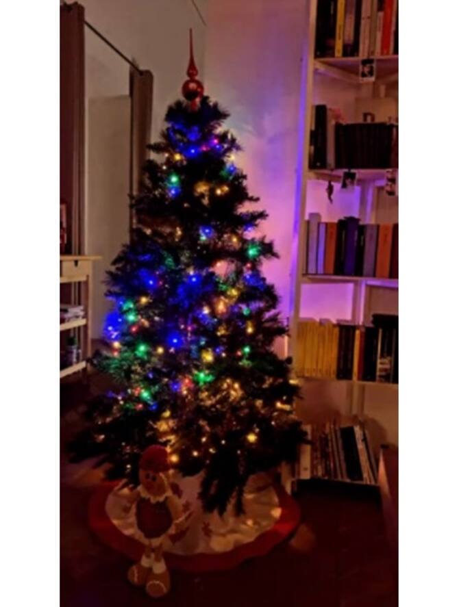 Calcio E Lockdown Da Torino A Roma Verdi E Veretout Hanno Gia Fatto L Albero Di Natale Foto Sky Sport