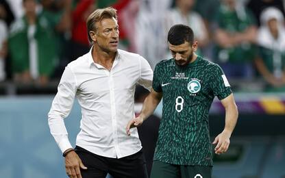 Renard ai saluti. Il 14° ct a lasciare post Qatar