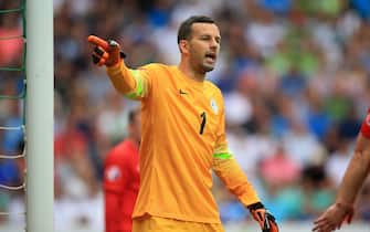 Soccer - UEFA European Championship Qualifying - Group E - Slovenia v England - Stozice Stadium. Slovenia goalkeeper Samir Handanovic