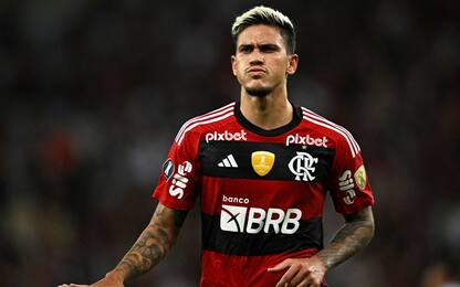 Flamengo licenzia preparatore dopo pugno a Pedro