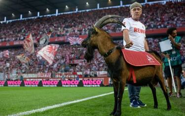 Bundesliga, acque (pericolose) di Colonia