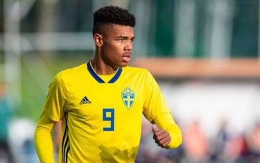 Milan, Roback in arrivo dall'Hammarby di Ibra