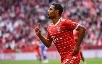 epa10625120 Serge Gnabry of FC Bayern Munich celebrates after scoring the 4-0 lead during the German Bundesliga soccer match between FC Bayern Munich and FC Schalke 04  in Munich, Germany, 13 May 2023.  EPA/ANNA SZILAGYI CONDITIONS - ATTENTION: The DFL regulations prohibit any use of photographs as image sequences and/or quasi-video.