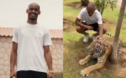 Fabinho, la presentazione è con la tigre. VIDEO