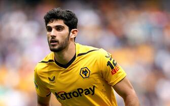 Wolverhampton Wanderers' Goncalo Guedes during the Premier League match at the Tottenham Hotspur Stadium, London. Picture date: Saturday August 20, 2022.