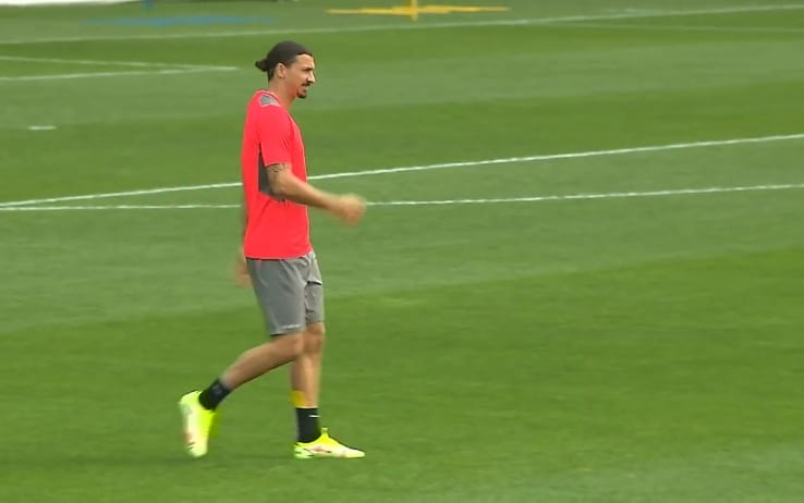 ibra