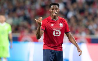 LILLE, FRANCE - SEPTEMBER 14: (BILD OUT) Jonathan David of Lille OSC gestures during the UEFA Champions League group G match between Lille OSC and VfL Wolfsburg at Stade Pierre-Mauroy on September 14, 2021 in Lille, France. (Photo by Mario Hommes/DeFodi Images via Getty Images)