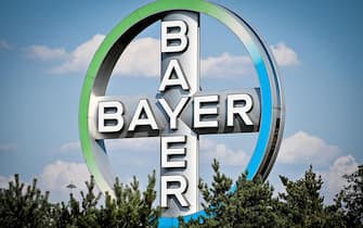 epa09035149 The logo of the German pharmaceutical company Bayer AG is seen in Cologne, Germany, 08 August 2020 (re-issued 25 February 2021). German pharmaceutical company Bayer will release their preliminary business figures for the full year 2020 on 25 February 2021.  EPA/SASCHA STEINBACH