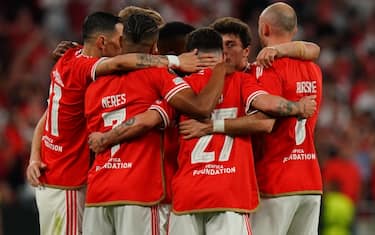 Benfica-Marsiglia 2-1 HIGHLIGHTS