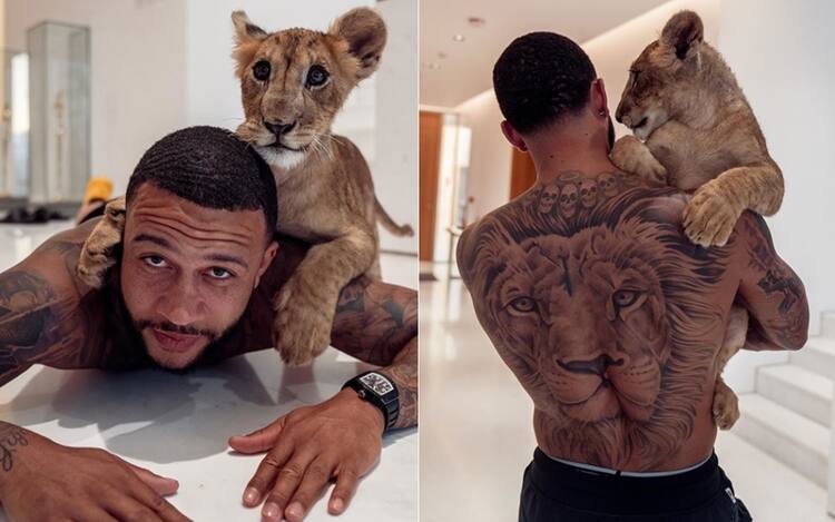 Memphis Depay Presenta Il Suo Cucciolo Di Leone Su Instagram Sky Sport