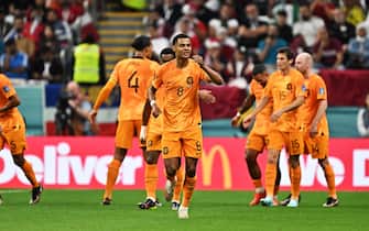 epa10336508 Cody Gakpo of the Netherlands celebrates scoring the 1-0 goal with his teammates during the FIFA World Cup 2022 group A soccer match between the Netherlands and Qatar at Al Bayt Stadium in Al Khor, Qatar, 29 November 2022.  EPA/Noushad Thekkayil