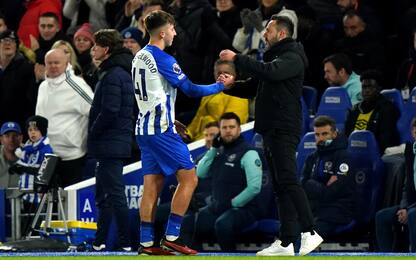 Gli highlights di Brighton-Brentford 2-1