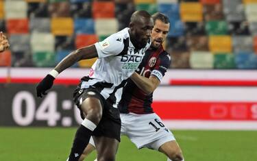 Bologna-Udinese, le probabili formazioni