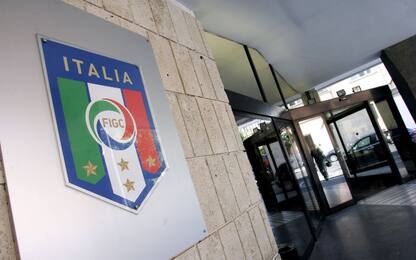 Consiglio FIGC: avanti A, B e C. Stop dilettanti