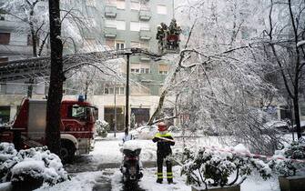 I vigili del fuoco lavorano dove gli alberi caduti lungo via Raffaello Sanzio  hanno tranciato i cavi del tram a Milano, 28 dicembre 2020.ANSA/FOTOGRAMMA/Stefano De Grandis